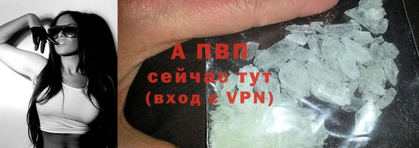 молекула духа Киреевск
