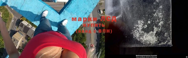 ГАЛЛЮЦИНОГЕННЫЕ ГРИБЫ Киренск