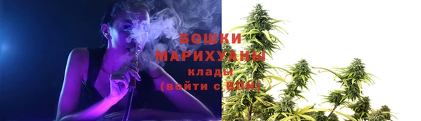 ГАЛЛЮЦИНОГЕННЫЕ ГРИБЫ Киренск
