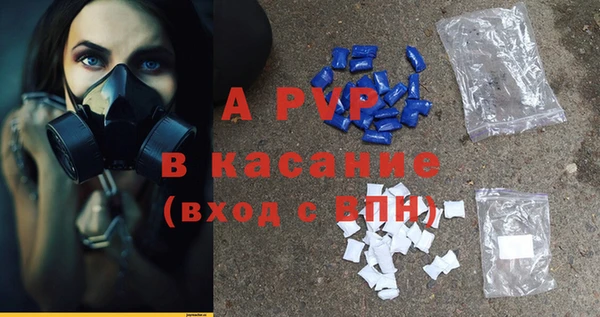 молекула духа Киреевск