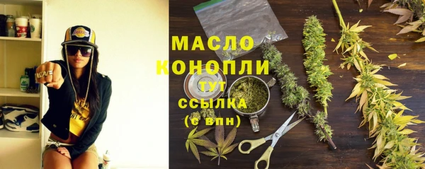 молекула духа Киреевск