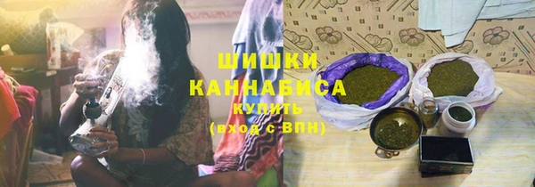 ГАЛЛЮЦИНОГЕННЫЕ ГРИБЫ Киренск