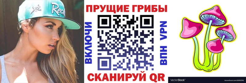 Псилоцибиновые грибы Cubensis  Купить  Богородск 